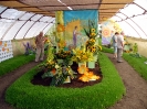 Výstava květin Čimelice 2011_39