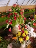 Výstava květin Čimelice 2011_55