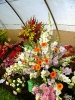 Výstava květin Čimelice 2011_58