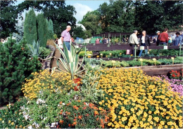 Areál Zámecké zahrady je osázen letničkami, 1998